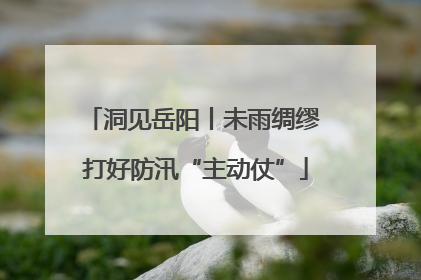 洞见岳阳丨未雨绸缪 打好防汛“主动仗”