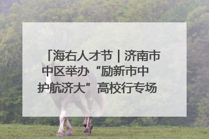 海右人才节｜济南市中区举办“励新市中 护航济大”高校行专场活动暨“青年人才 乐享市中”品牌推介会