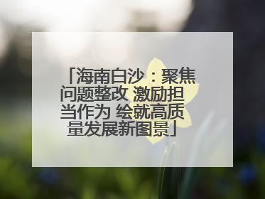 海南白沙：聚焦问题整改 激励担当作为 绘就高质量发展新图景