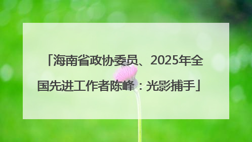 海南省政协委员、2025年全国先进工作者陈峰：光影捕手