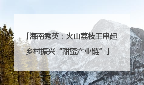 海南秀英：火山荔枝王串起乡村振兴“甜蜜产业链”