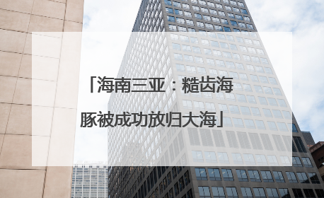 海南三亚：糙齿海豚被成功放归大海