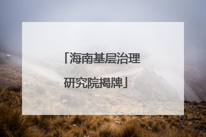 海南基层治理研究院揭牌