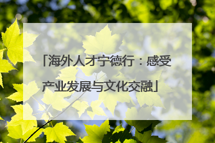 海外人才宁德行：感受产业发展与文化交融