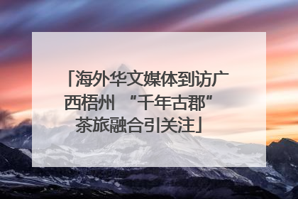 海外华文媒体到访广西梧州 “千年古郡”茶旅融合引关注