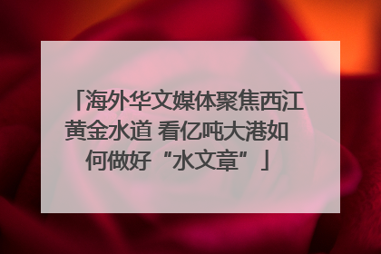 海外华文媒体聚焦西江黄金水道 看亿吨大港如何做好“水文章”