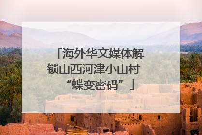 海外华文媒体解锁山西河津小山村“蝶变密码”