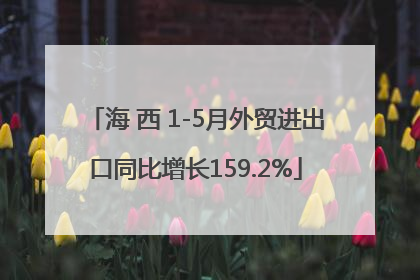 海 西 1-5月外贸进出口同比增长159.2%