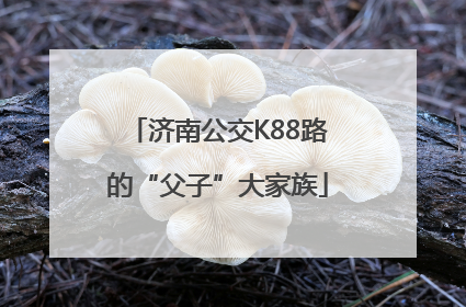 济南公交K88路的“父子”大家族