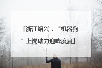 浙江绍兴：“机器狗”上岗助力迎峰度夏