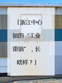 浙江中心镇的“工业重镇”，长啥样？