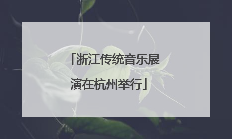 浙江传统音乐展演在杭州举行