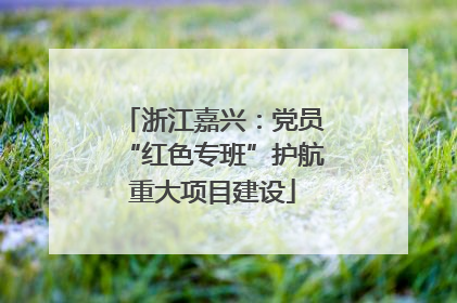 浙江嘉兴：党员“红色专班”护航重大项目建设