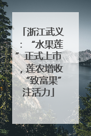 浙江武义：“水果莲”正式上市，莲农增收“致富果”注活力