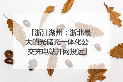 浙江湖州：浙北最大的光储充一体化公交充电站并网投运