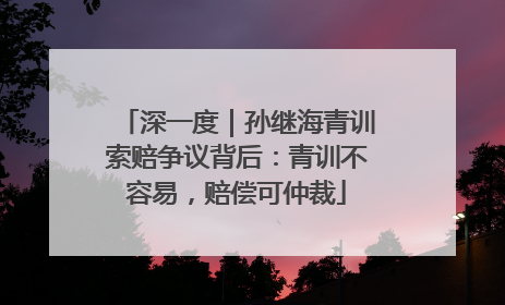 深一度｜孙继海青训索赔争议背后：青训不容易，赔偿可仲裁