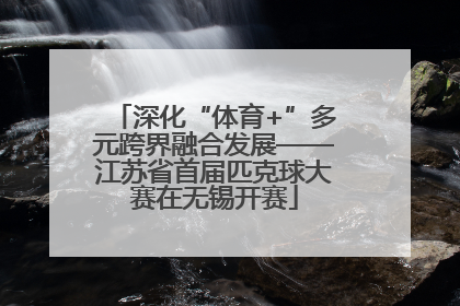 深化“体育+”多元跨界融合发展——江苏省首届匹克球大赛在无锡开赛