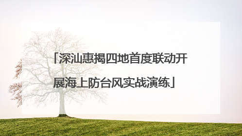 深汕惠揭四地首度联动开展海上防台风实战演练