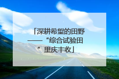 深耕希望的田野——“综合试验田”里庆丰收
