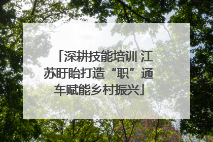 深耕技能培训 江苏盱眙打造“职”通车赋能乡村振兴
