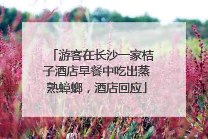 游客在长沙一家桔子酒店早餐中吃出蒸熟蟑螂，酒店回应