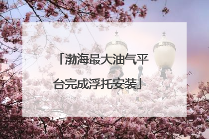 渤海最大油气平台完成浮托安装