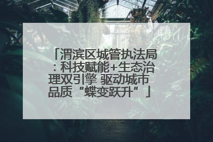 渭滨区城管执法局：科技赋能+生态治理双引擎 驱动城市品质“蝶变跃升”