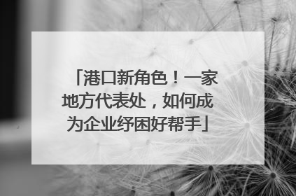 港口新角色！一家地方代表处，如何成为企业纾困好帮手