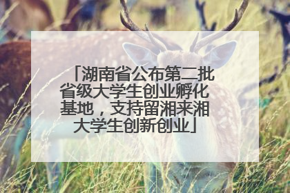 湖南省公布第二批省级大学生创业孵化基地，支持留湘来湘大学生创新创业