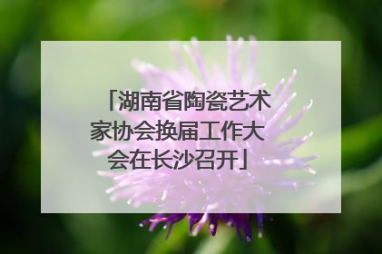 湖南省陶瓷艺术家协会换届工作大会在长沙召开