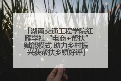湖南交通工程学院红雁学社“电商+帮扶”赋能模式 助力乡村振兴获帮扶乡镇好评