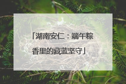 湖南安仁：端午粽香里的藏蓝坚守