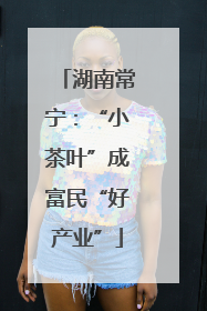 湖南常宁：“小茶叶”成富民“好产业”