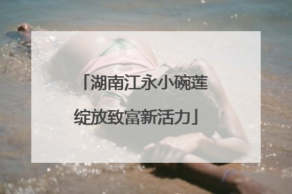 湖南江永小碗莲绽放致富新活力