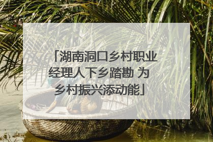 湖南洞口乡村职业经理人下乡踏勘 为乡村振兴添动能