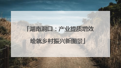 湖南洞口：产业提质增效 绘就乡村振兴新图景