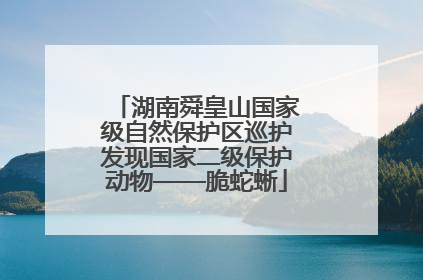 湖南舜皇山国家级自然保护区巡护发现国家二级保护动物——脆蛇蜥