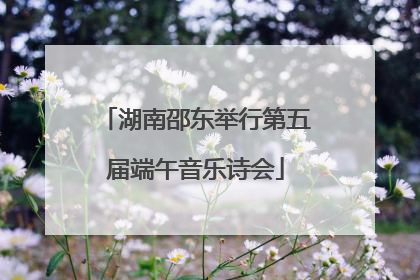 湖南邵东举行第五届端午音乐诗会