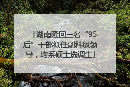 湖南隆回三名“95后”干部拟任副科级领导，均系硕士选调生