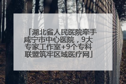 湖北省人民医院牵手咸宁市中心医院，9大专家工作室+9个专科联盟筑牢区域医疗网