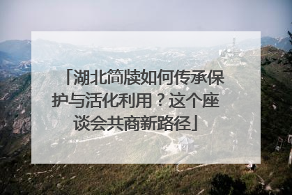 湖北简牍如何传承保护与活化利用？这个座谈会共商新路径