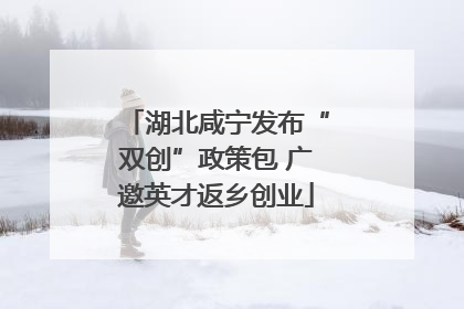 湖北咸宁发布“双创”政策包 广邀英才返乡创业