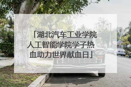 湖北汽车工业学院人工智能学院学子热血助力世界献血日