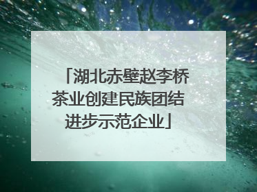 湖北赤壁赵李桥茶业创建民族团结进步示范企业