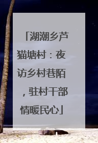 湖潮乡芦猫塘村：夜访乡村巷陌，驻村干部情暖民心