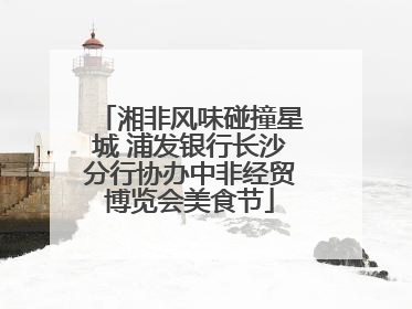湘非风味碰撞星城 浦发银行长沙分行协办中非经贸博览会美食节
