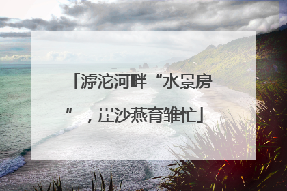 滹沱河畔“水景房”，崖沙燕育雏忙