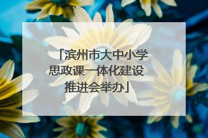 滨州市大中小学思政课一体化建设推进会举办
