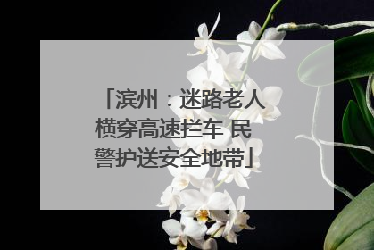 滨州：迷路老人横穿高速拦车 民警护送安全地带
