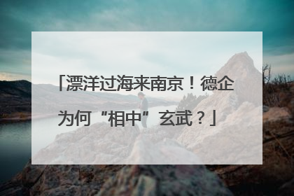漂洋过海来南京！德企为何“相中”玄武？